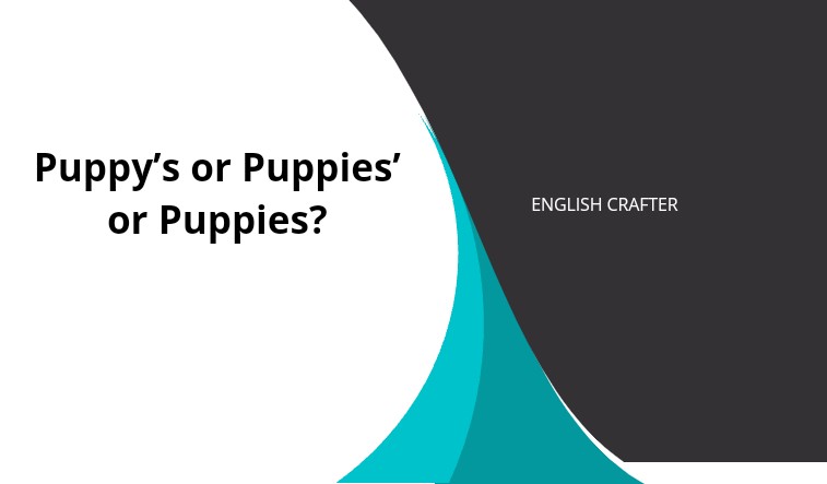Puppy’s or Puppies’ or Puppies?